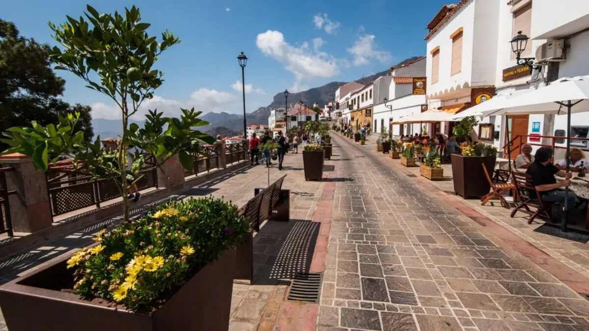 Paseo Comercial Tejeda paseo Comercial Tejeda